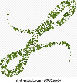 Grasblättrige Ökologie, Vektordurchsichtige Hintergrundgrenze. Nature Leaf Template. Grün Blätter frisches Poster. Greens Tea Illustration.