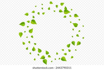 Grassy Foliage Ecology Vector Transparent Background Wallpaper. Tree Leaves Pattern. Lime Greens Transparent Illustration. Leaf Fly Branch.