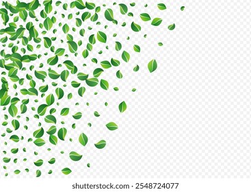 Grassy Foliage Ecology Vector Transparent Background. Flying Leaf Illustration. Lime Greens Motion Backdrop. Leaves Swirl Template.