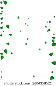Grassy Foliage Ecology Vector White Background Border. Transparent Leaf Brochure. Forest Leaves Flying Plant. Greens Forest Concept.
