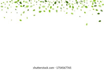 Grassy Foliage Falling Vector Plant. Forest Greens Border. Lime Leaves Ecology Template. Leaf Flying Wallpaper.