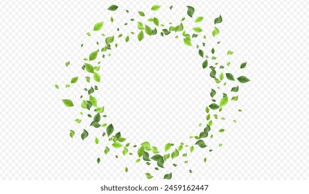 Grassy Foliage Fly Vector Transparent Background Template. Organic Leaf Backdrop. Mint Leaves Swirl Poster. Greenery Spring Wallpaper.