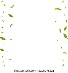 Grassy Foliage Fly Vector White Background Pattern. Abstract Greens Wallpaper. Olive Leaves Falling Brochure. Leaf Herbal Poster.