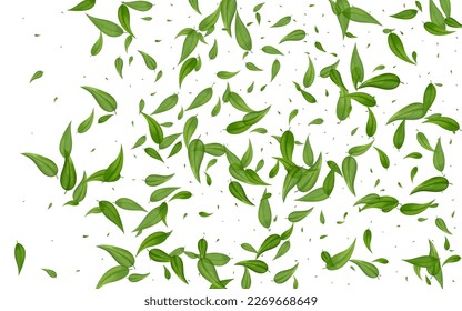 Grassy Foliage Fly Vector White Background Brochure. Fresh Leaf Banner. Lime Greens Swirl Border. Leaves Forest Plant.