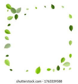 Grassy Foliage Flying Vector Concept. Wind Leaves Branch. Swamp Leaf Tree Brochure. Greens Realistic Wallpaper.