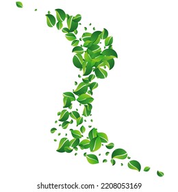 Grassy Foliage Flying Vector White Background. Tree Leaves Template. Mint Leaf Realistic Plant. Greens Herbal Illustration.