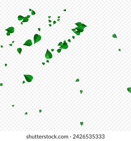 Grassy Foliage Forest Vector Transparent Background Brochure. Motion Greens Design. Swamp Leaves Ecology Plant. Leaf Flying Banner.