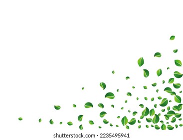 Fondo Blanco Fresco Vector De Foliage Grassy. Motion Leaves fondos de escritorio. Patrón De Volado De Hoja De Mint. Plantilla de ecología verde.