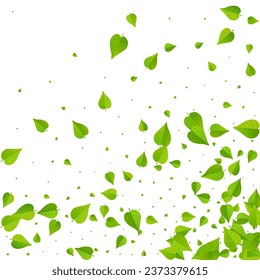 Grassy Foliage Herbal Vector White Background Border. Forest Leaves Template. Mint Greens Abstract Branch. Leaf Blur Poster.