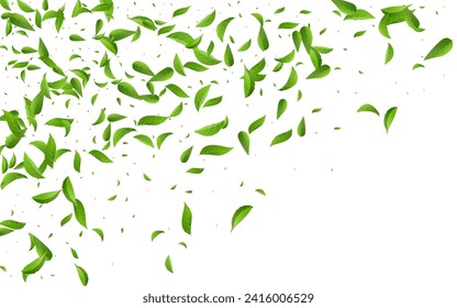 Grassy Foliage Herbal Vector White Background Branch. Ecology Greens Design. Green Leaf Wind Concept. Leaves Flying Banner.