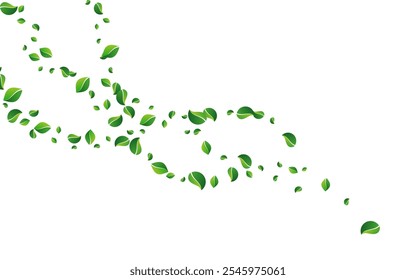 Grassy Foliage Herbal Vector White Background. Fly Greens Template. Olive Leaf Organic Illustration. Leaves Abstract Concept.