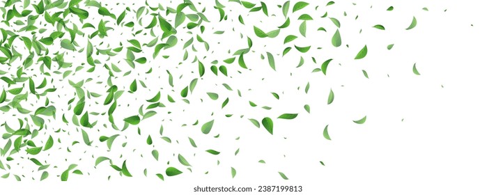 Grassy Foliage Motion Vector Panoramic White Background Plant. Herbal Greens Design. Swamp Leaf Wind Branch. Leaves Fresh Border.