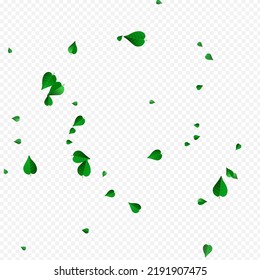 Grassy Foliage Motion Vector Transparent Background Concept. Fresh Leaf Wallpaper. Forest Greens Blur Brochure. Leaves Wind Illustration.