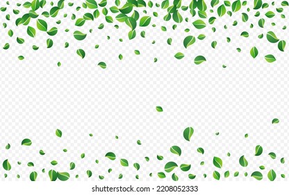 Grassy Foliage Motion Vector Transparent Background. Organic Leaf Pattern. Swamp Greens Tree Border. Leaves Wind Template.