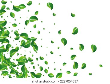 Fondo blanco del vector de movimiento de flotación Grassy. Folleto de hoja de hierbas. Diseño de árboles de ciénaga verde. Deja la rama del viento.