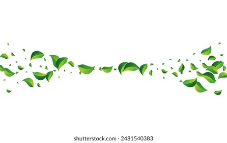 Grassy Foliage Motion Vector White Background. Forest Greens Wallpaper. Mint Leaves Fly Banner. Leaf Ecology Template.