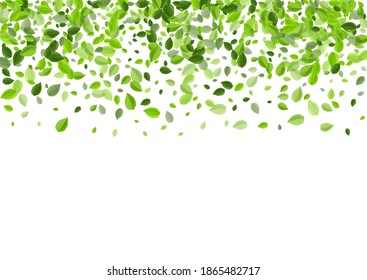 Grassy Foliage Nature Vector Design. Falling Greens Border. Forest Leaf Herbal Concept. Leaves Swirl Illustration.