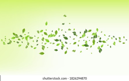 Grassy Foliage Nature Vector Green Background Design. Falling Leaves Banner. Olive Greenery Forest Wallpaper. Leaf Blur Branch.