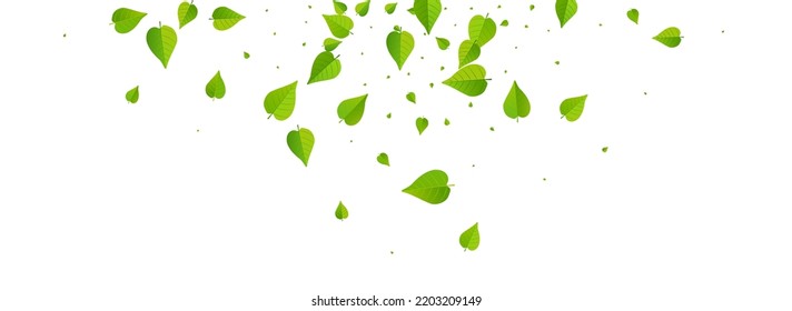 Diseño De Fondo Panorámico Blanco De Vector Orgánico Foliage Grassy. La primavera deja el folleto. Papel de escritorio de Mint Greens Flying. Pancarta de caída de hojas.