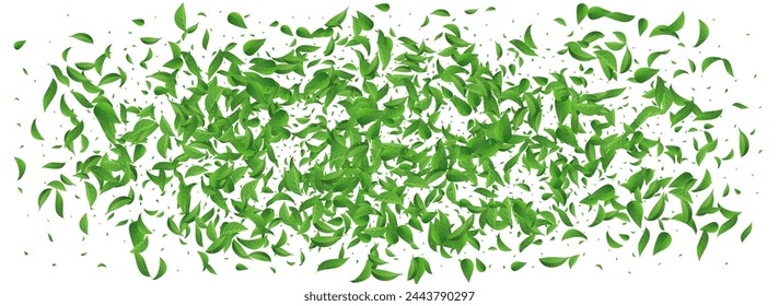 Grassy Foliage Organic Vector Panoramic White Background Wallpaper. Fresh Leaf Poster. Olive Greens Tree Border. Leaves Spring Concept.