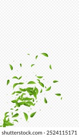 Grassy Foliage Organic Vector Transparent Background Illustration. Falling Leaves Plant. Mint Leaf Motion Wallpaper. Greens Nature Brochure.