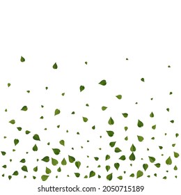 Grassy Foliage Organic Vector White Background Concept. Flying Leaf Backdrop. Green Greens Blur Brochure. Leaves Herbal Border.