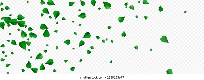 Grassy Foliage Realista Vector Panorámico Transparent Background Branch. Folleto de hojas orgánicas. Diseño de primavera de los Verdes Forestales. Planta de Ecología de Hojas.