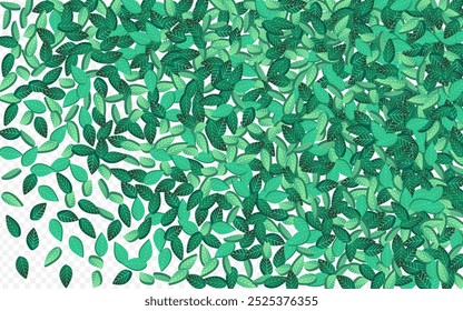 Grassy Foliage Spring Vector Transparent Background Brochure. Organic Leaves Poster. Olive Greens Realistic Backdrop. Leaf Tree Plant.