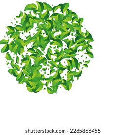 Grassy Foliage Swirl Vector White Background. Abstract Leaves Border. Green Leaf Tea Illustration. Greens Wind Poster.