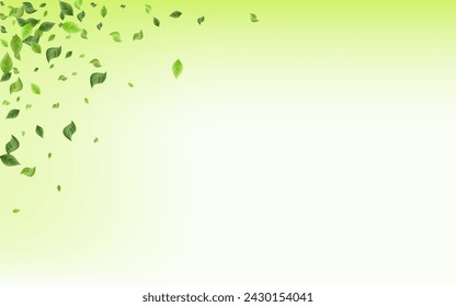 Grassy Foliage Tea Vector Green Background Poster. Abstract Greenery Branch. Mint Leaf Nature Pattern. Leaves Wind Wallpaper.