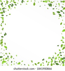 Grassy Foliage Tea Vector White Background Border. Ecology Greenery Brochure. Swamp Leaves Realistic Backdrop. Leaf Nature Concept.