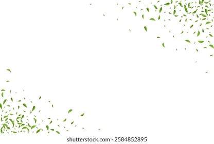 Grassy Foliage Tea Vector White Background Template. Tree Leaf Concept. Forest Leaves Blur Border. Greens Forest Poster.