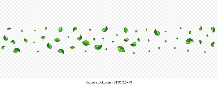 Grassy Foliage Transparent Vector Panoramic Transparent Background. Fly Leaf Illustration. Swamp Leaves Flying Brochure. Greens Tree Poster.