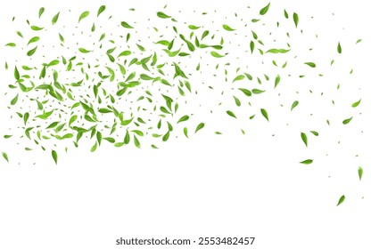 Grassy Foliage Transparent Vector White Background Plant. Motion Greens Wallpaper. Swamp Leaves Tree Poster. Leaf Nature Brochure.