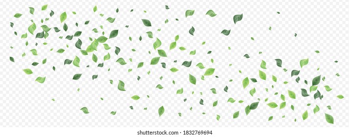 Grassy Foliage Tree Vector Panoramic Transparent Background Brochure. Fresh Greenery Wallpaper. Forest Leaves Spring Concept. Leaf Forest Poster.