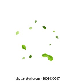 Grassy Foliage Tree Vector Pattern. Forest Leaf Template. Mint Greens Spring Wallpaper. Leaves Organic Background.
