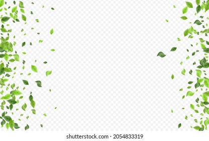 Grassy Foliage Tree Vector Transparent Background Wallpaper. Blur Leaf Design. Forest Greenery Spring Backdrop. Leaves Ecology Banner.