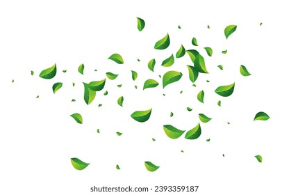 Grassy Foliage Tree Vector White Background. Herbal Greens Concept. Lime Leaves Ecology Pattern. Leaf Spring Template.