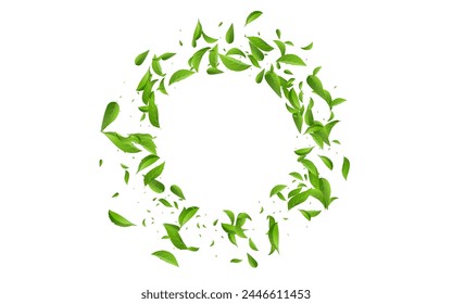 Grassy Foliage Tree Vector White Background Plant. Fly Leaves Poster. Mint Leaf Nature Border. Greens Forest Backdrop.