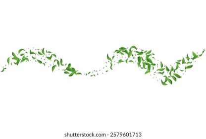 Grassy Foliage Tree Vector White Background Concept. Forest Leaves Design. Mint Leaf Swirl Poster. Greens Fly Template.