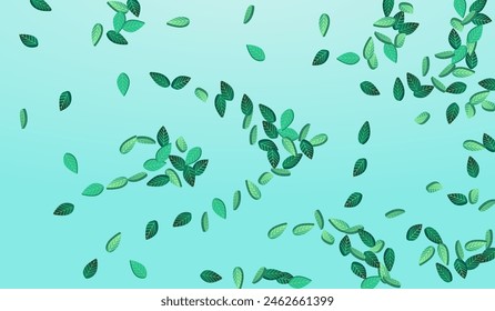 Grassy Foliage Wind Vector Blue Background Illustration. Motion Leaves Poster. Mint Leaf Falling Pattern. Greens Spring Border.