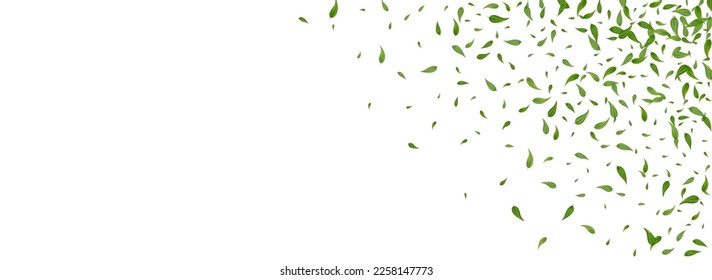 Grassy Foliage Wind Vector Panoramic White Background Design. Forest Leaves Illustration. Lime Greens Blur Banner. Leaf Fresh Branch.