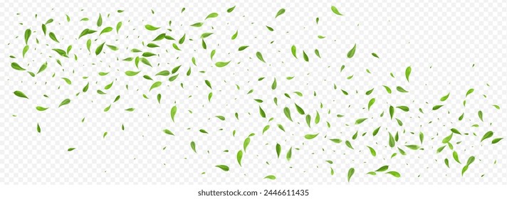 Grassy Foliage Wind Vector Panoramic Transparent Background Wallpaper. Falling Leaf Border. Mint Greens Nature Illustration. Leaves Blur Brochure.