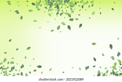 Grassy Greenery Abstract Vector Green Background Brochure. Blur Leaf Pattern. Olive Leaves Forest Design. Foliage Swirl Poster.