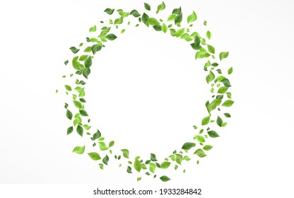 Grassy Greenery Blur Vector White Background Poster. Forest Leaf Branch. Swamp Leaves Ecology Plant. Foliage Flying Wallpaper.