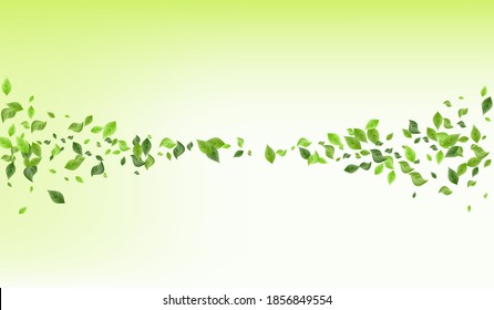 Grassy Greenery Spring Vector Green Background Concept. Ecology Foliage Design. Lime Leaf Fresh Template. Leaves Organic Illustration.