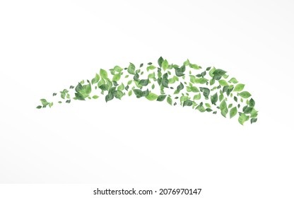 Grassy Greenery Tea Vector White Background Wallpaper. Falling Foliage Backdrop. Olive Leaf Realistic Poster. Leaves Abstract Branch.