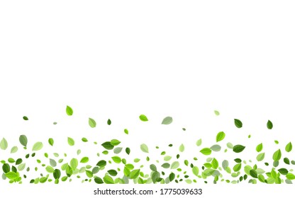Grassy Greens Abstract Vector Banner. Fly Leaf Wallpaper. Swamp Foliage Nature Illustration. Leaves Motion Background.