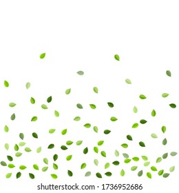 Grassy Greens Abstract Vector Border. Transparente Foliage Illustration. Grüne Blätterpflanze. Bleibt unscharf.