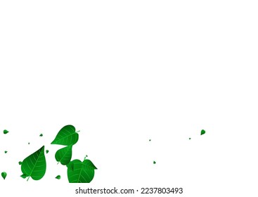 Grassy Greens Abstract Vector White Background Illustration. Ecology Foliage Concept. Olive Leaves Organic Banner. Leaf Falling Brochure.